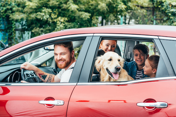 Do’s & Dont’s: Road Tripping with Pets